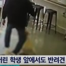 유자네 댕댕이 네이버블로그