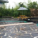 수목원 생활온천 이미지