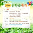 평창 산채으뜸마을 제4회 산나물 축제(08.5.24~25) 이미지