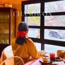 드네스 | 창원 여행, 군항제 벚꽃명소 카페 '드네스' 브런치&와인