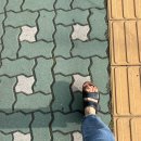 수원-0625 | 240613~0625. 친구랑 놀기, 홀 염탐, 눈감았다 뜨면 바뀌는