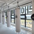 라이언복싱 고등지구점 이미지