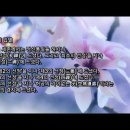 TV불교 불경 자막 - 대반열반경(유행 편) 4-4편 이미지