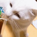 우리건강원 네이버블로그
