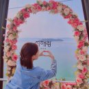 전곡항로50번길 | 화성 전곡항 플레이요트 요트투어, 전곡항 요트투어에서 프라이빗하게! 내돈내산