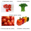 호주농장 이미지