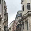 2024-주216 이미지