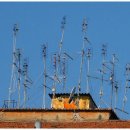 365  정보통신 이미지