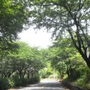 여기남해 이미지