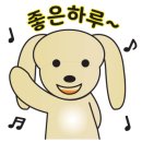 갓샐러드 이미지