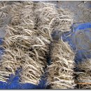 연흥농장 이미지