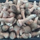 원탑농원 이미지