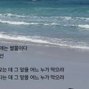 밀물 이미지