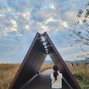 순천만 그리고 나 이미지