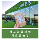 농업조합법인 유현정미소 | [육아/내돈내산] 김포 게으른농부 농업체험