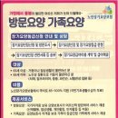 백세시대복지요양보호사교육원 네이버블로그