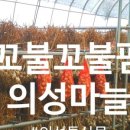 안평쇼핑몰