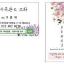 금성수족관 이미지