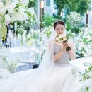 데이즈스냅 이미지