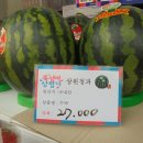 상원청과