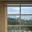 설악산파크 | 강원도 설악산 단풍 구경 후기(주차, 케이블카 위치 꿀팁)