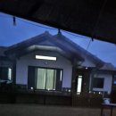 느티나무집펜션 이미지