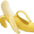 올데이피티 이미지