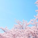 우수수