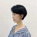 애드리프 이미지