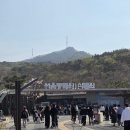 고려리프트 | 서울대공원 동물원 후기 총정리 (코끼리열차/리프트/주차/할인/동선까지)