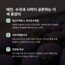 언덕위힐링목장