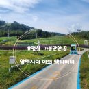 구역 평창을 만끽할 수 있는 알펜시아 리조트 내 놀거리 후기(타볼카,루지,전동자동차)-가족여행7탄 2/2