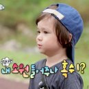 도안북로93번길 이미지