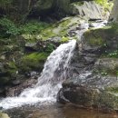 남산애 산에