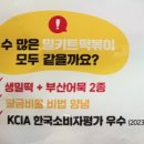 인생 밀떡볶이 찾았다! 은영이떡볶이 떡볶이밀키트로 초간단 떡볶이맛집 재현하기 (feat. 캠핑밀키트...