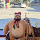 웰컴순카페