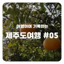 UR(군산시)-[공항로]-하-1 | [제주도 4박 5일 여행] 5일차 코스, 산방산에서 제주공항