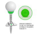 늘푸른 골프 이미지