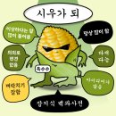 지성을 가진 인간이라면 사랑을 택하시오
