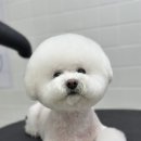 하울팟 위례점 이미지