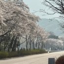 영흥우리약국 이미지