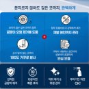 청소찐이야 | 욕실 곰팡이제거제 추천 피레오 뿌리기만 하면 끝나는 화장실 청소 찐만족 후기