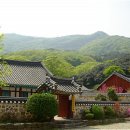 지가스 이미지