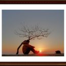 백일홍동산 이미지