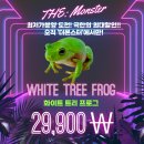 프로그샵