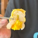 바다마루 | [해운대] 해운대 오션뷰 맛집 ‘해운마루’ – 바다 보며 즐긴 점심 회정식 후기