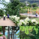 유구터미널 이미지