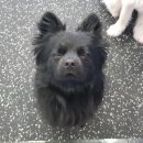 조이풀데이 광명역점 이미지