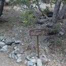 Icehouse Canyon Loop Trail 07/25/2026 이미지