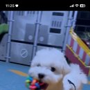 서영주유소 이미지